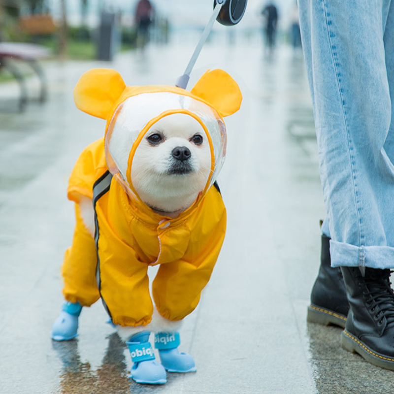 비와도 산책을 할 수 있게 도와주는 강아지 우비 제품입니다. <중국구매대행 추천 강아지 우비>
 