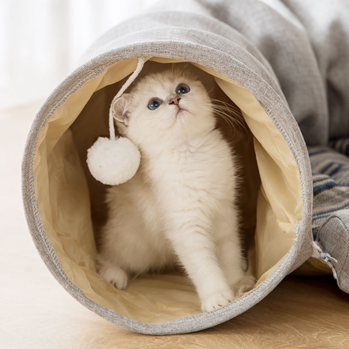 고양이들이 무척 좋아하는 터널 모양의 장난감 제품입니다. <중국구매대행 추천 고양이 터널 장난감>