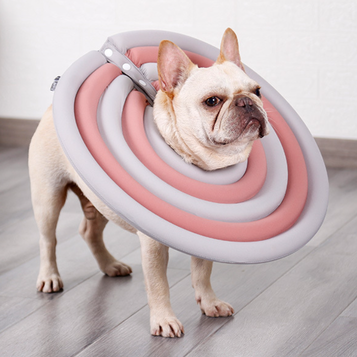 나일론과 천 소재의 제품으로 부드럽고, 탄력이 있어 목이 편안해요. <알리바바구매대행 추천 반려동물 넥카라>
