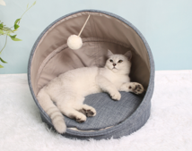 중국구매대행 추천 고양이 놀이 침대 